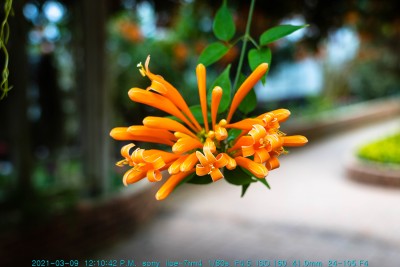240486d33cd6e186b0519b7848ceaaa2_1618807097_5309.jpg